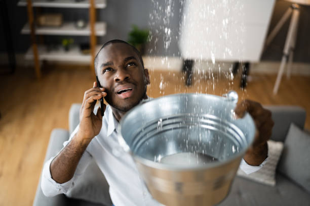 Best Water damage mitigation services  in Oxford, NC
