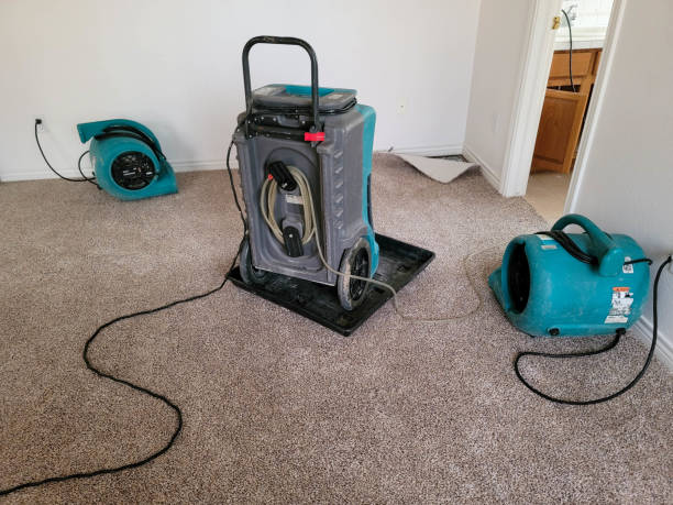Best Sewage cleanup and water damage restoration  in Oxford, NC