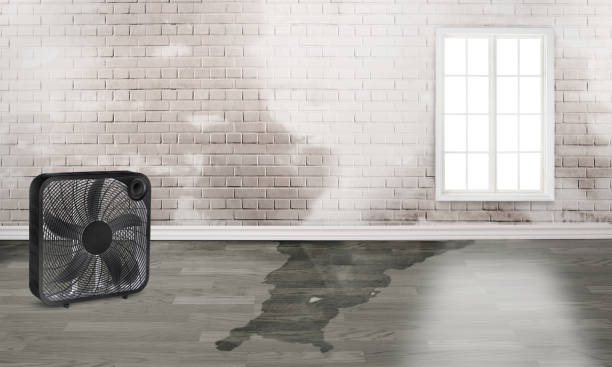 Best Flood restoration services  in Oxford, NC