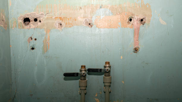 Best Water damage cleanup near me  in Oxford, NC