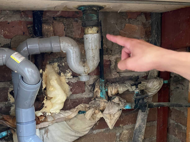 Best Water damage restoration mold remediation  in Oxford, NC