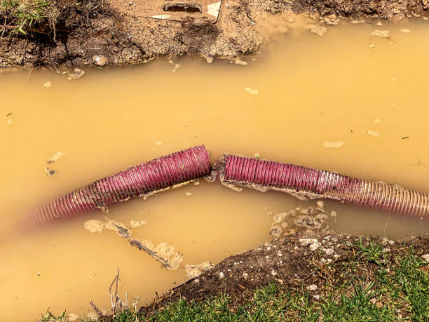 Best Water damage restoration near me  in Oxford, NC