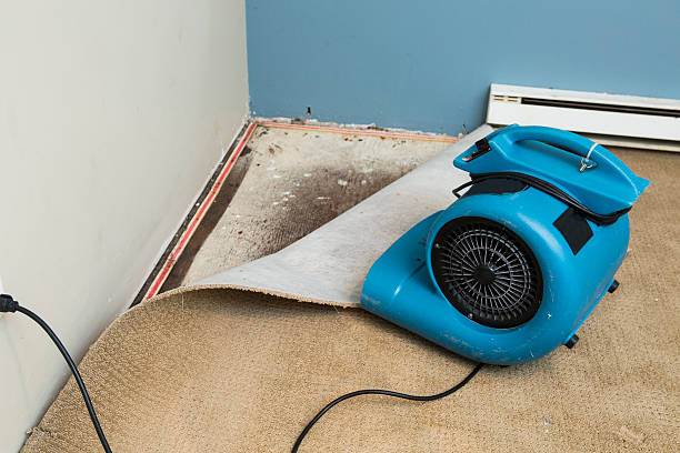 Best Flood damage cleanup  in Oxford, NC